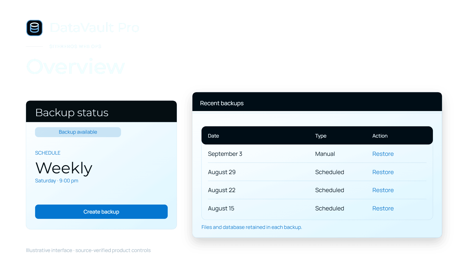 DataVault Pro illustrative interface.